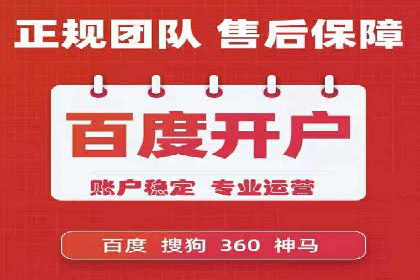 谷歌SEM广告策略：某电商平台的成功逆袭案例